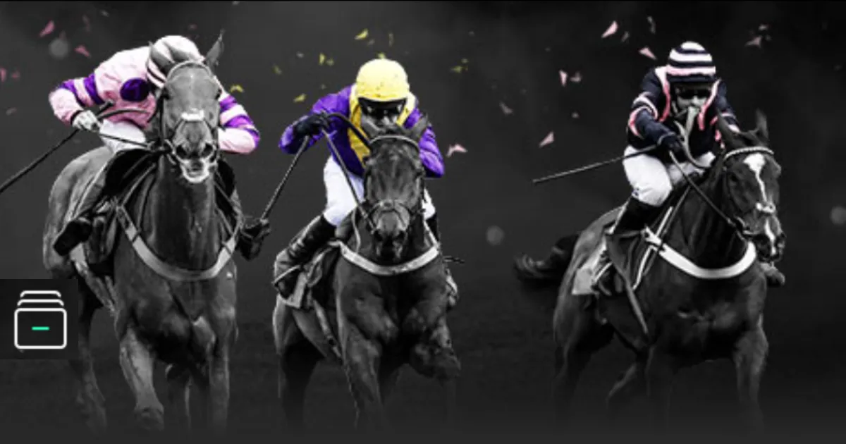 切尔西传奇,巨星名单揭,马克莱莱,世界杯预选赛,2026预选赛,各国球队,赛程安排,预选赛结果